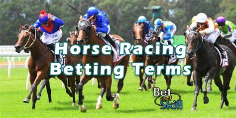 Horse Racing Betting Terms & Abbreviations .